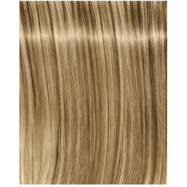 Igora royal Fashion light - Toutes Nuances Igora royal Fashion light - Toutes Nuances