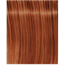 Igora Royal Fashion Light - Alle nuances
