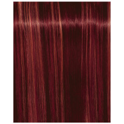 Igora Royal Fashion Light - Alle nuances