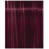 Igora Royal Fashion Light - Alle tinten