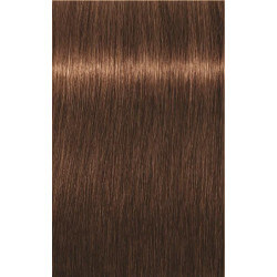 Igora Royal Absolutes Age Blend (Por nuances)