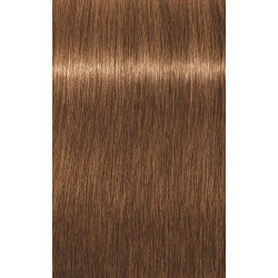 Igora Royal Absolutes Age Blend (in verschillende tinten)