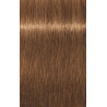 Igora Royal Absolutes Age Blend (Por tonalidades)
