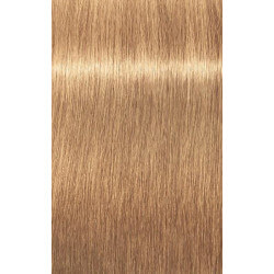 Igora Royal Absolutes Age Blend (in verschillende tinten)