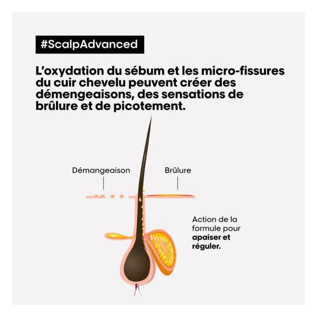 Champô anticaspa clarificante Scalp Advanced L'Oréal Professionnel 1,5L