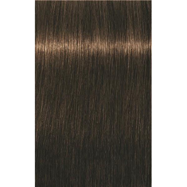 Igora Royal 5 63 Chatain Clair Chocolat Mat 60 Ml Igora Royal 5 63 Chatain Clair Chocolat Mat 60 Ml