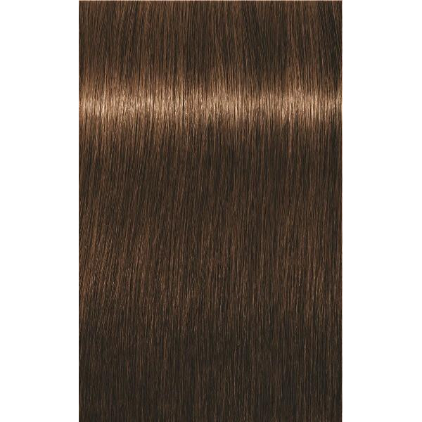 Igora Royal 5 5 Chatain Clair Dore 60 Ml
