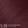 Kleuring Juvexin Gkhair 100ML