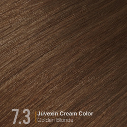 Färbung Juvexin 10 sehr hellblond platin Gkhair 100ML