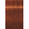 Coloração Igora Royal Schwarzkopf 60ML (Por número)