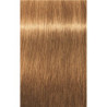 Coloração Igora Royal Schwarzkopf 60ML (Por número)