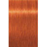 Coloração Igora Royal Schwarzkopf 60ML (Por número)