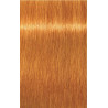 Coloração Igora Royal Schwarzkopf 60ML (Por número)