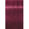 Coloração Igora Royal Schwarzkopf 60ML (Por número)