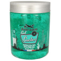 Gel fixant cactus Hairgum 500 Grs
