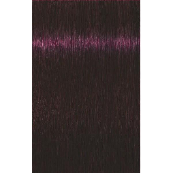 Igora Royal Absolutes (all nuances by declinations) Igora Royal Absolutes (all nuances by declinations)