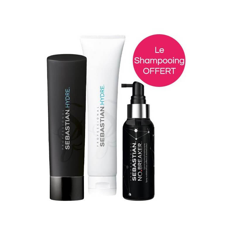 Pack pour cheveux secs Hydre Sebastian Professional