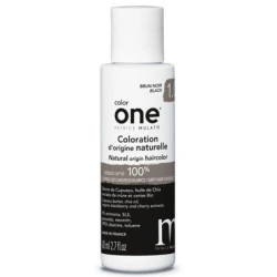 Coloration Color One 1.0 brun noir Patrice Mulato 80ML