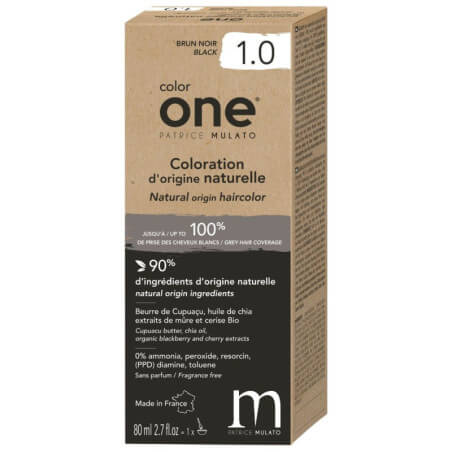 Colorante Color One 1.0 nero marrone Patrice Mulato 100ML