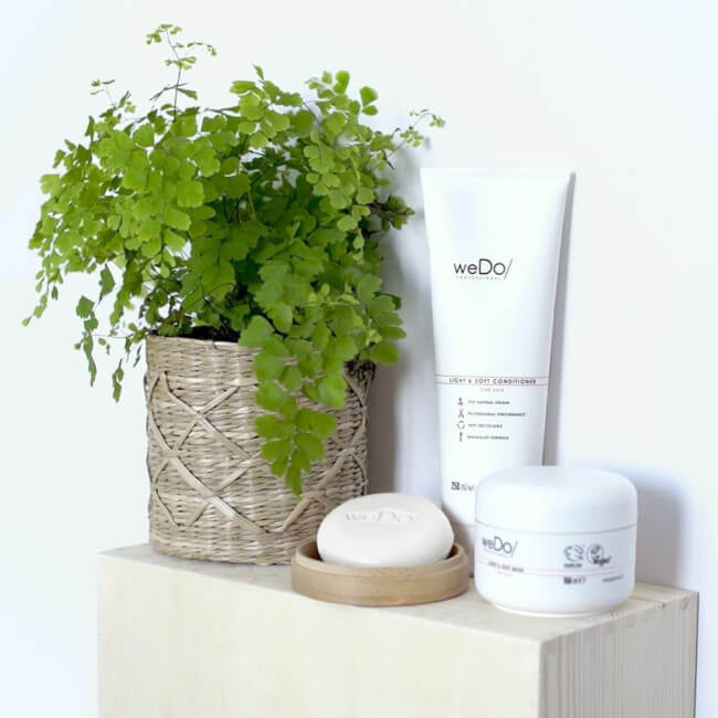 Conditioner Lichtgewicht & Zachtheid weDo/ Professional 250ml