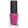 MNP Shine N'Wear Nail Polish 10ML