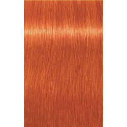Igora Royal Mix 60 ML - Tinten D-0 tot 9.5-49