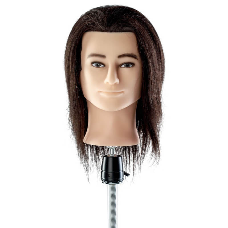 Cabeça de aprendizagem barbudo & cabelo curto