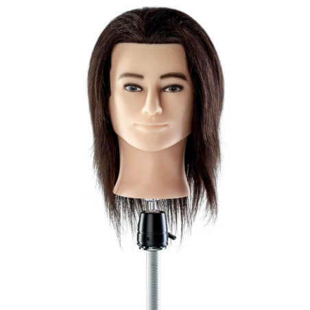Cabeça de aprendizagem barbudo & cabelo curto