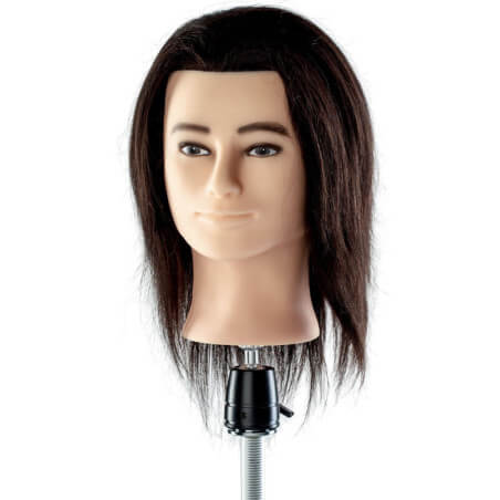 Cabeça de aprendizagem barbudo & cabelo curto