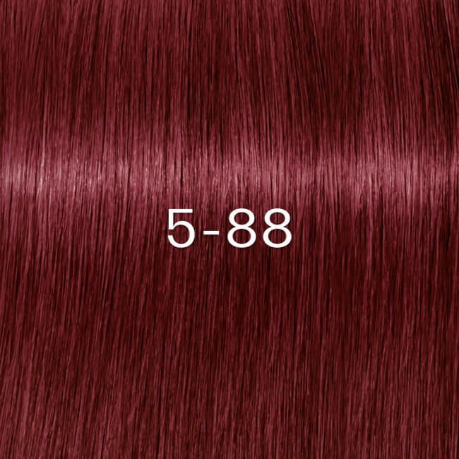 Igora Zéro amm 5-88 castanho claro vermelho extra Schwarzkopf 60ML