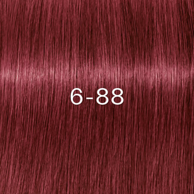 Igora Zéro amm 6-88 louro escuro vermelho extra Schwarzkopf 60ML