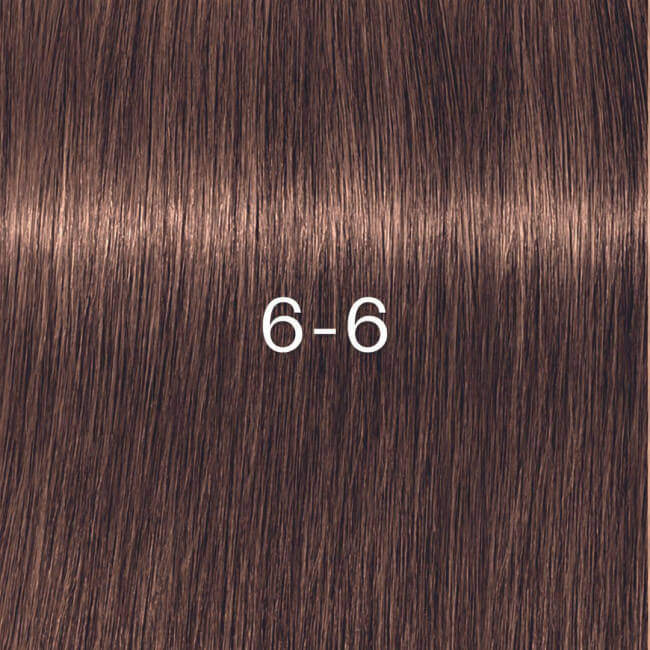 Igora Zéro amm 6-6 donkerblond bruin Schwarzkopf 60ML