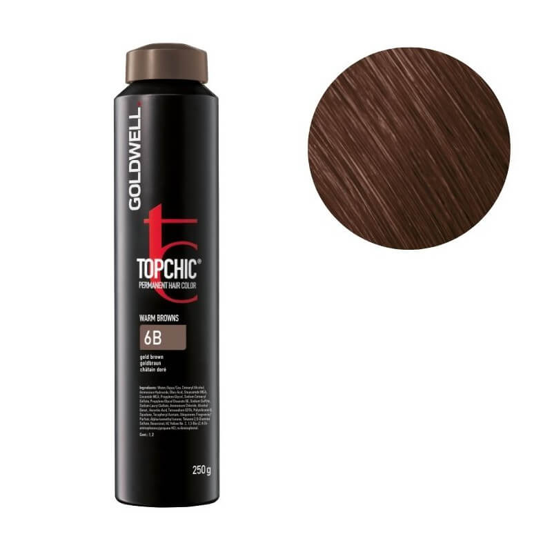Topchic 6b Dark Beige Blonde Coloration Goldwell 250ml