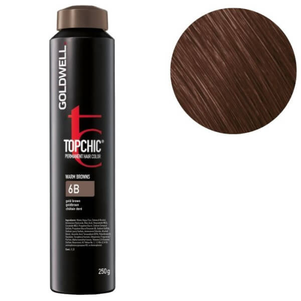 Kleur Topchic 6b donkerblond beige Goldwell 250ml Kleur Topchic 6b donkerblond beige Goldwell 250ml