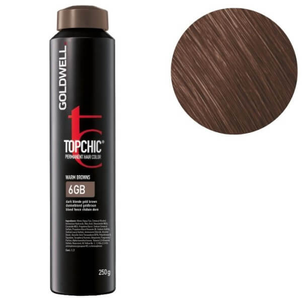 Kleuring Topchic 6gb donkerblond goudbruin Goldwell 250ml Kleuring Topchic 6gb donkerblond goudbruin Goldwell 250ml