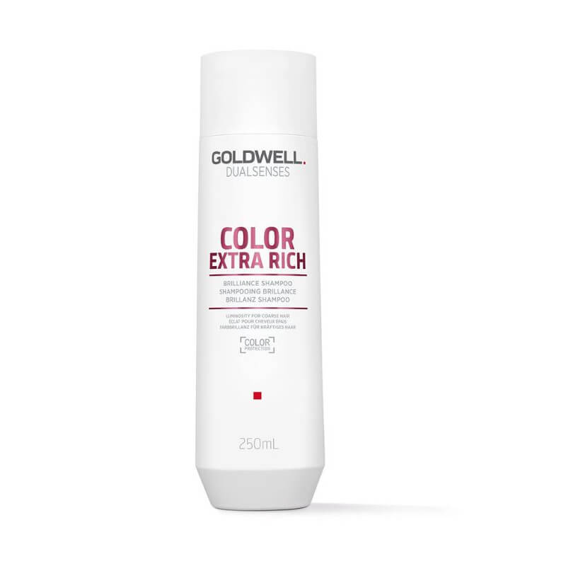 Shampoo Dual Senses Color Extra Rich Goldwell 250ml