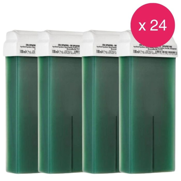 Paquete de 24 cartuchos de cera verde Xanitalia