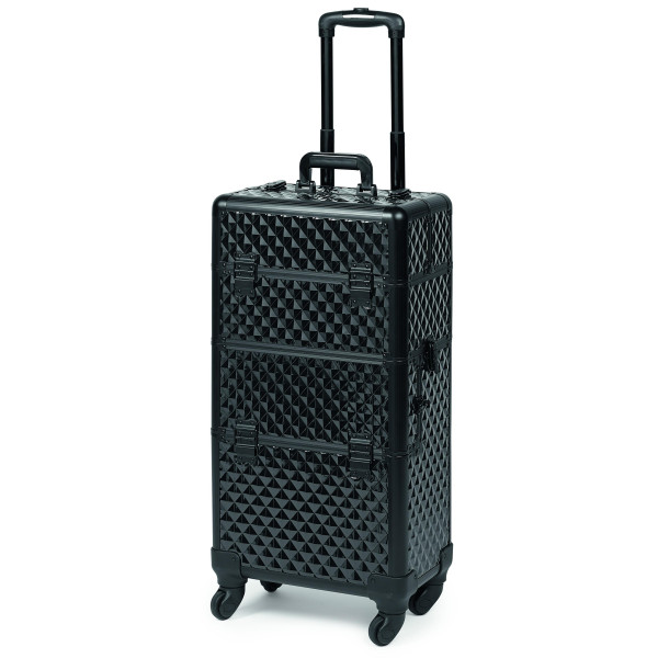 Professional Esthetician 2-in-1 Suitcase
