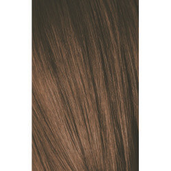 Igora Royal Kleur 10 60 ML (Per Varianten)