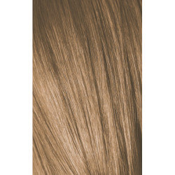Igora Royal Kleur 10 60 ML (Per Varianten)