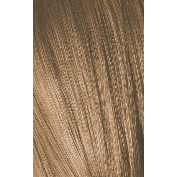 Igora Royal Color 10 60 ML (par déclinaisons)