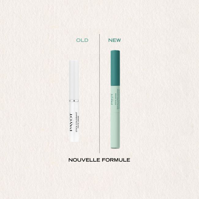 Stylo 2-en-1 anti-imperfections Pâte Grise Payot 2x3ml