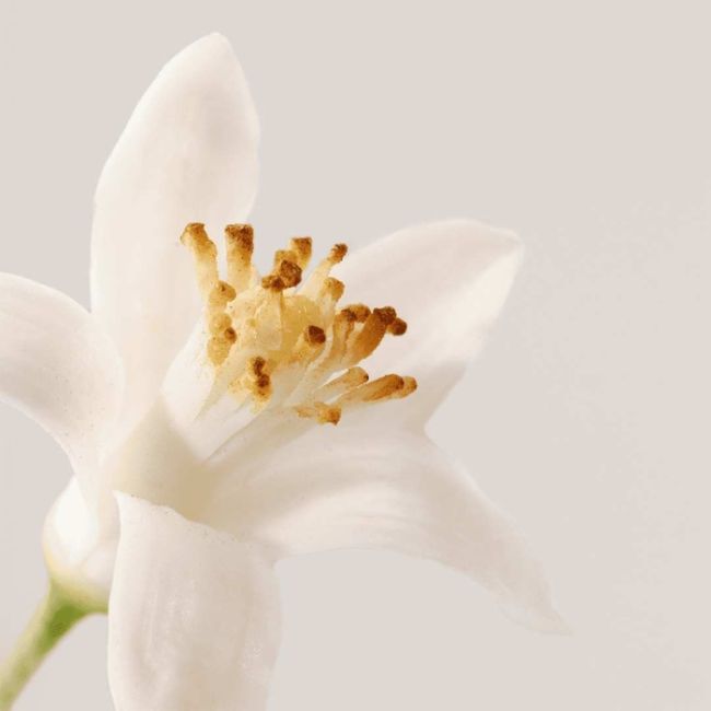 Démaquillant bi-fase voor ogen en lippen Nue Payot 100ml