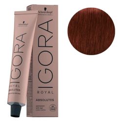 Igora Royal Absolutes 6-50 Dark Blonde Golden Natural 60 ML