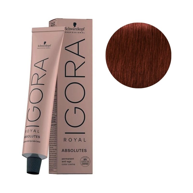 Igora Royal Absolutos 6-50 rubio oscuro natural Oro 60 ML