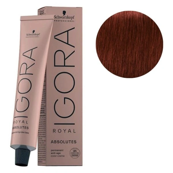 Igora Royal Absolutos 6-50 rubio oscuro natural Oro 60 ML