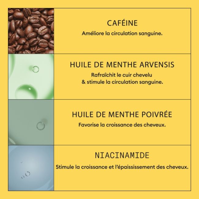 kit de cuidados System 1 Nioxin