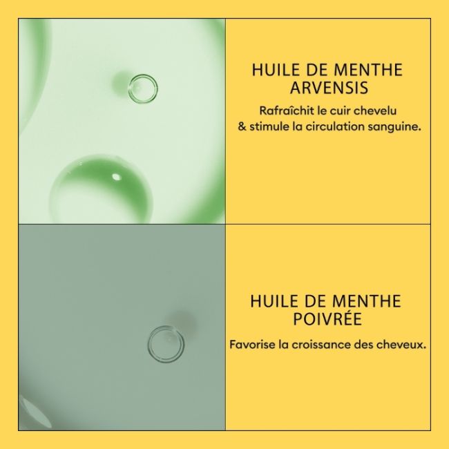 Conditioner systeem 1 300 ml