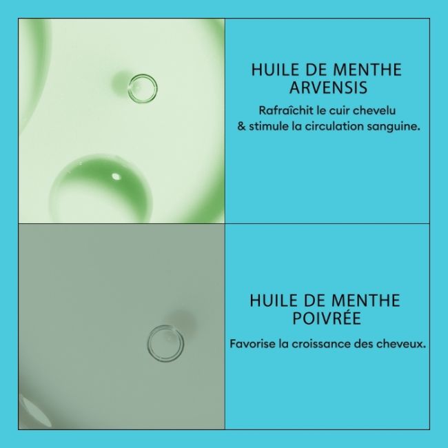 Conditioner systeem 3 1000 ml