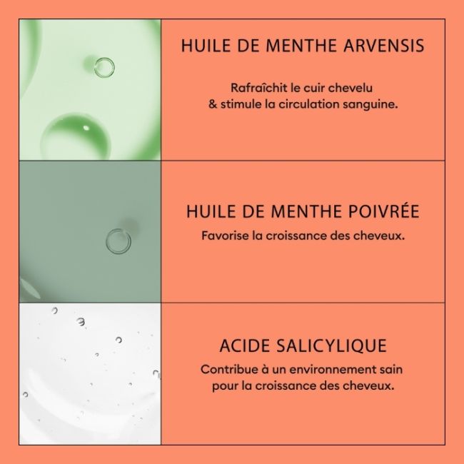 Shampoo System 4 Nioxin 1000ml